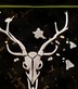 Axis Deer — Deep Forest (Men's) — Deer skeleton