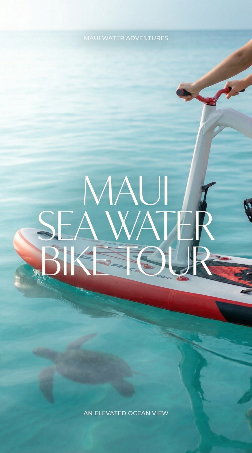 Red Shark water bike tour above a sea turtle in Maui